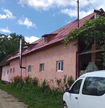 Casa Boierului Imbri Villa คือร์ตีโชอารา ภายนอก รูปภาพ