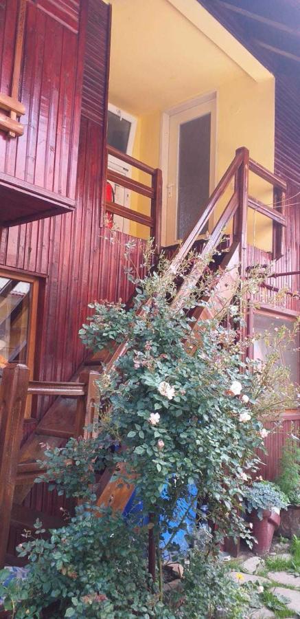 Casa Boierului Imbri Villa คือร์ตีโชอารา ภายนอก รูปภาพ