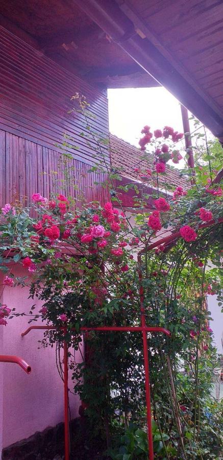 Casa Boierului Imbri Villa คือร์ตีโชอารา ภายนอก รูปภาพ