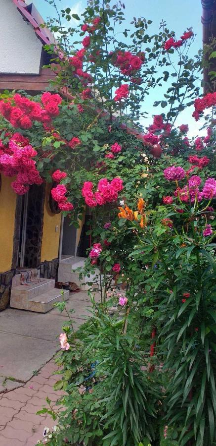 Casa Boierului Imbri Villa คือร์ตีโชอารา ภายนอก รูปภาพ