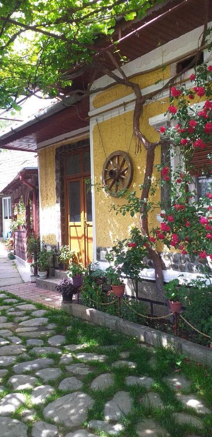 Casa Boierului Imbri Villa คือร์ตีโชอารา ภายนอก รูปภาพ