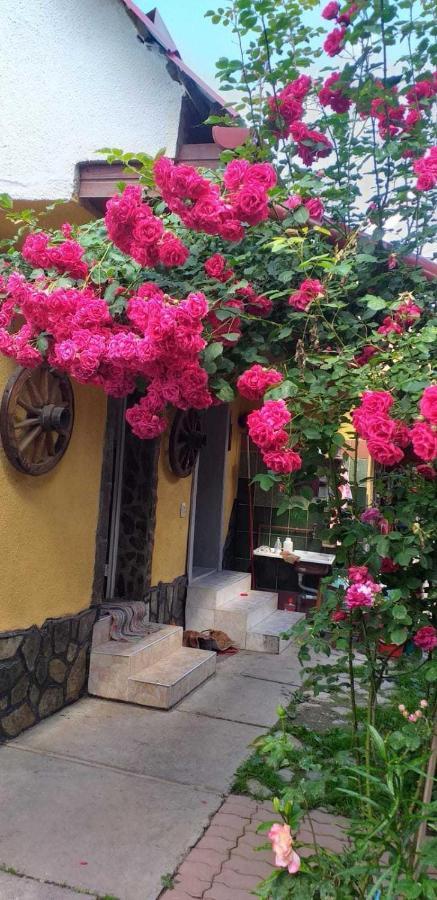 Casa Boierului Imbri Villa คือร์ตีโชอารา ภายนอก รูปภาพ