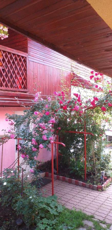 Casa Boierului Imbri Villa คือร์ตีโชอารา ภายนอก รูปภาพ